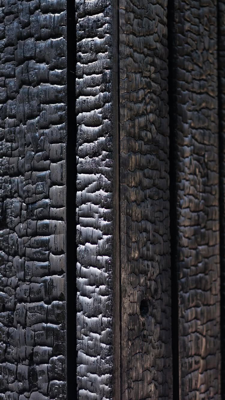 Charred black wood planks with a deep, scaly alligator skin texture.
