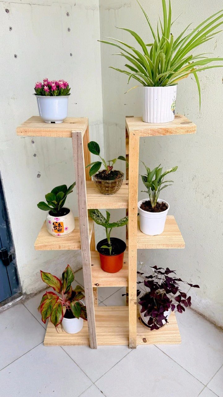 6 DIY Wooden Riser Ideas for Plants, Kitchens and Decor 3 Multi-tiered wooden plant riser holding various potted green and purple plants.