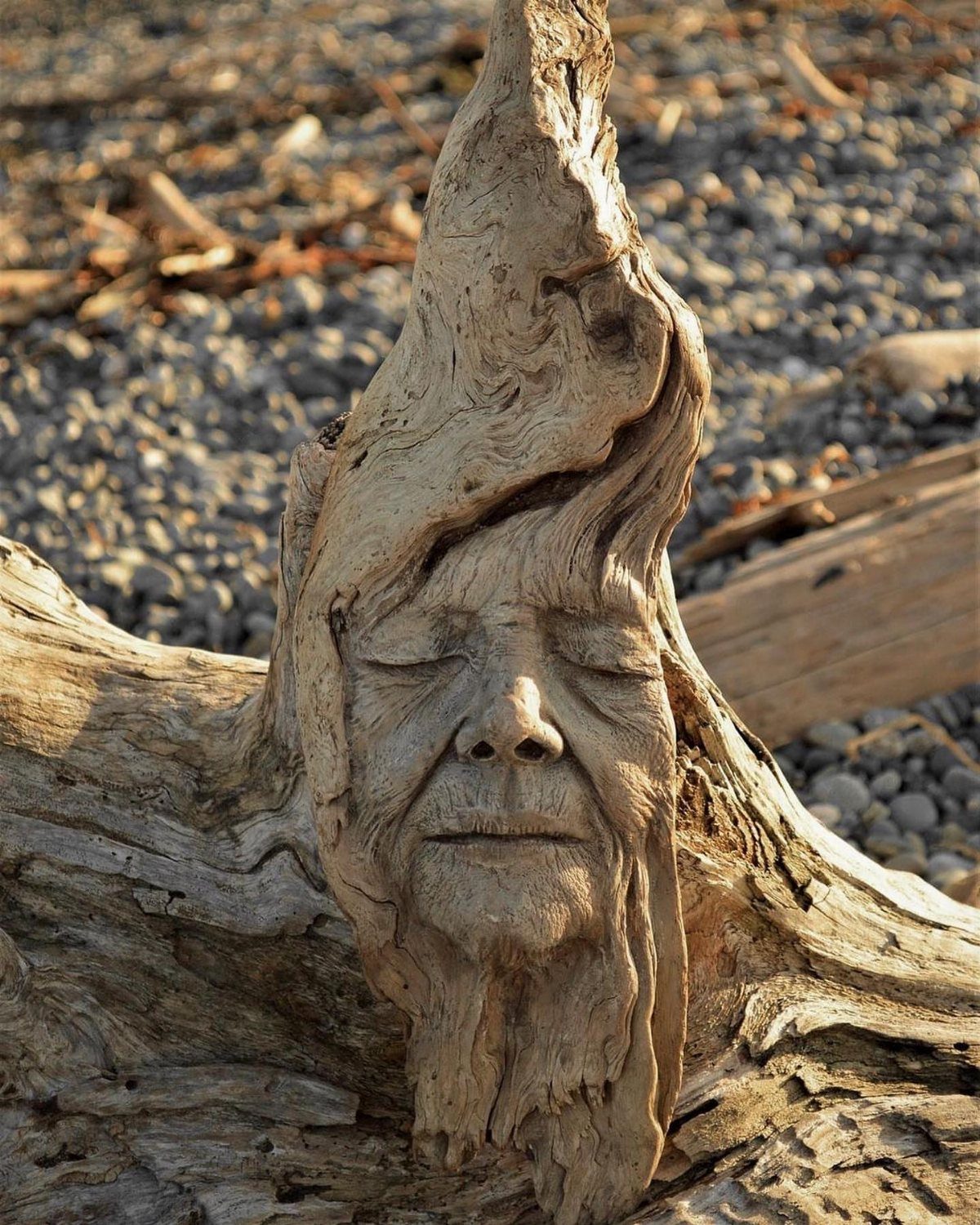 Carved face of an old man in weathered driftwood on a pebble beach