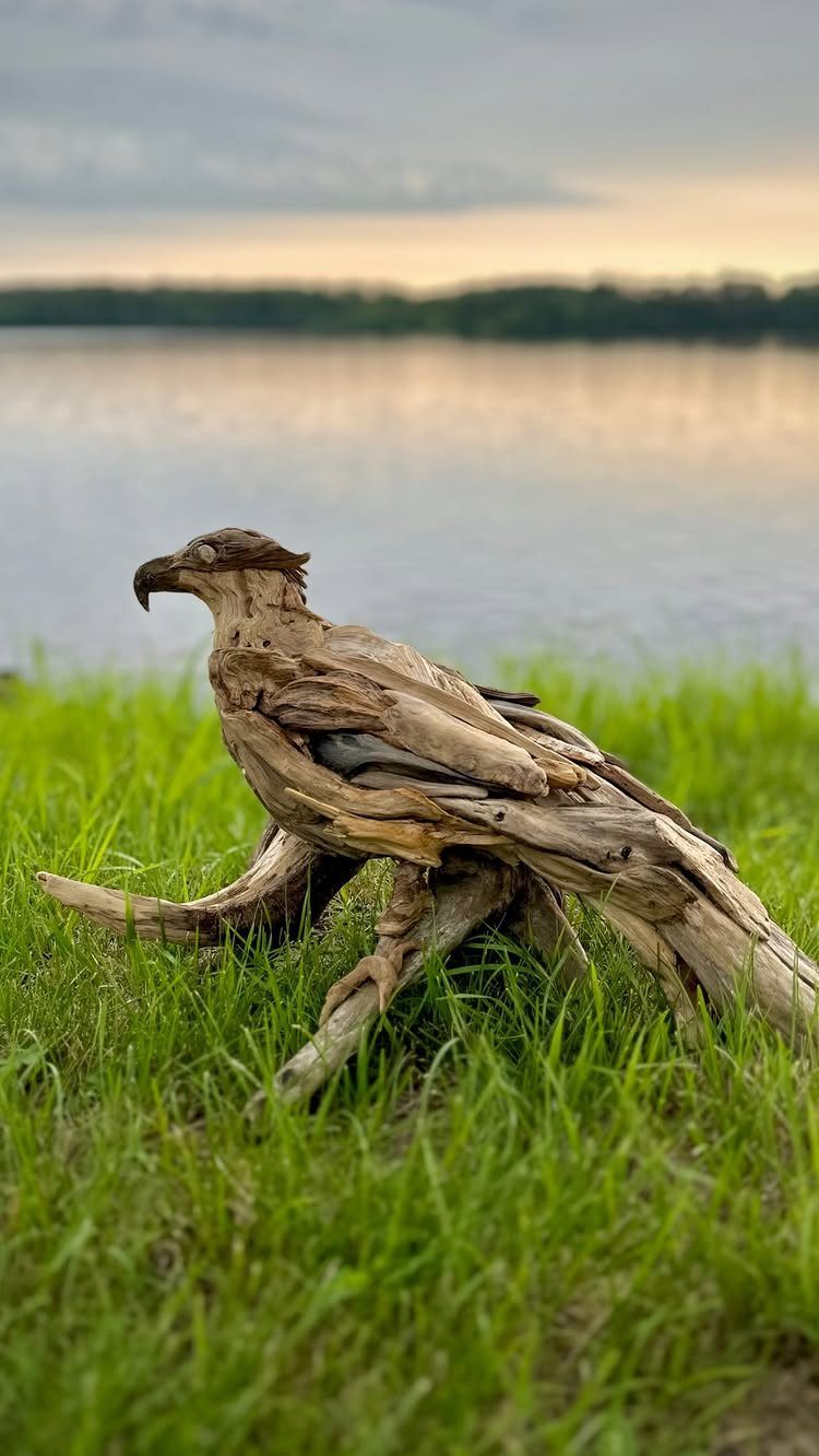 Driftwood bird sculpture resting on green grass with a lake in the background.