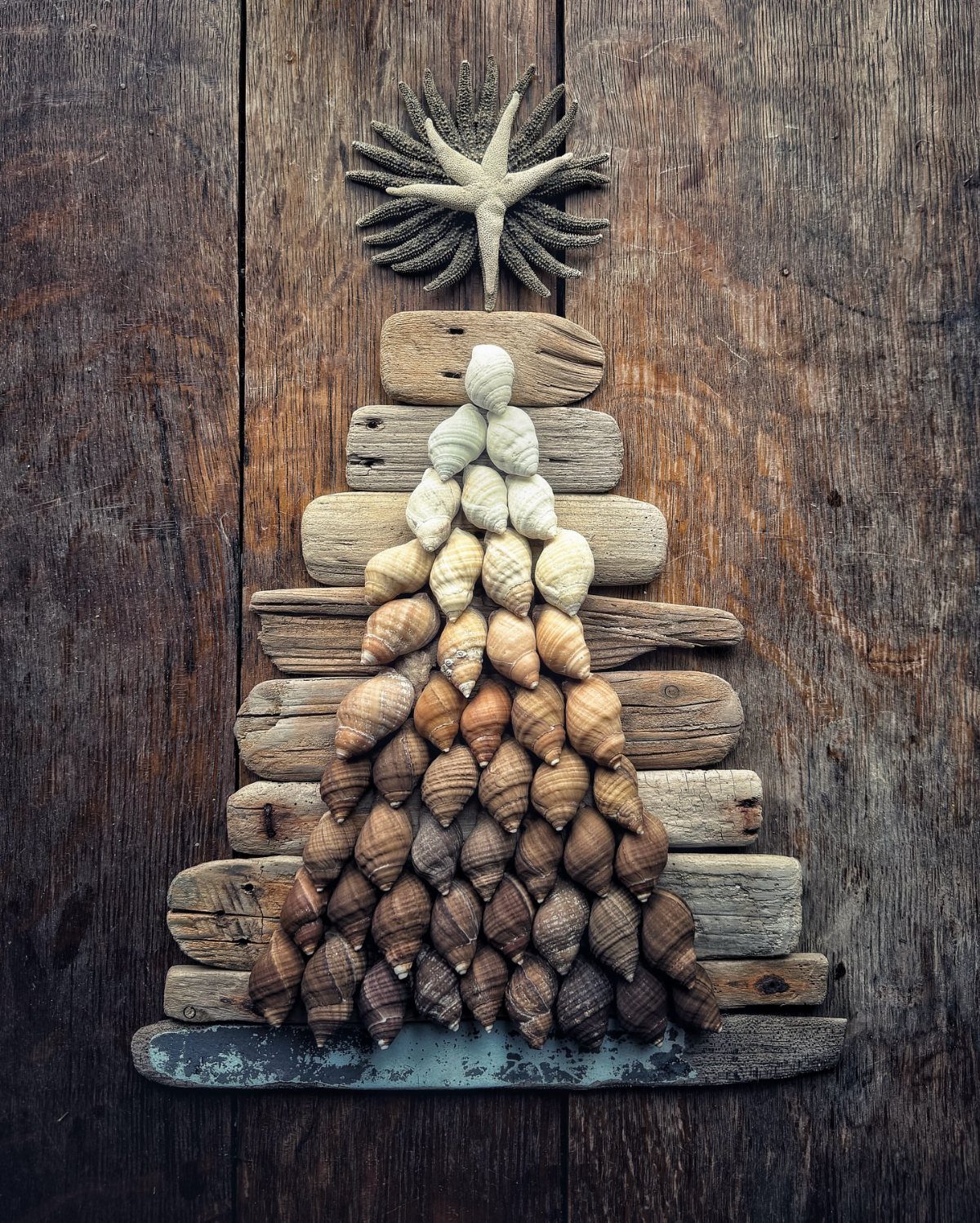 Driftwood and seashell Christmas tree decoration with a starfish on top.