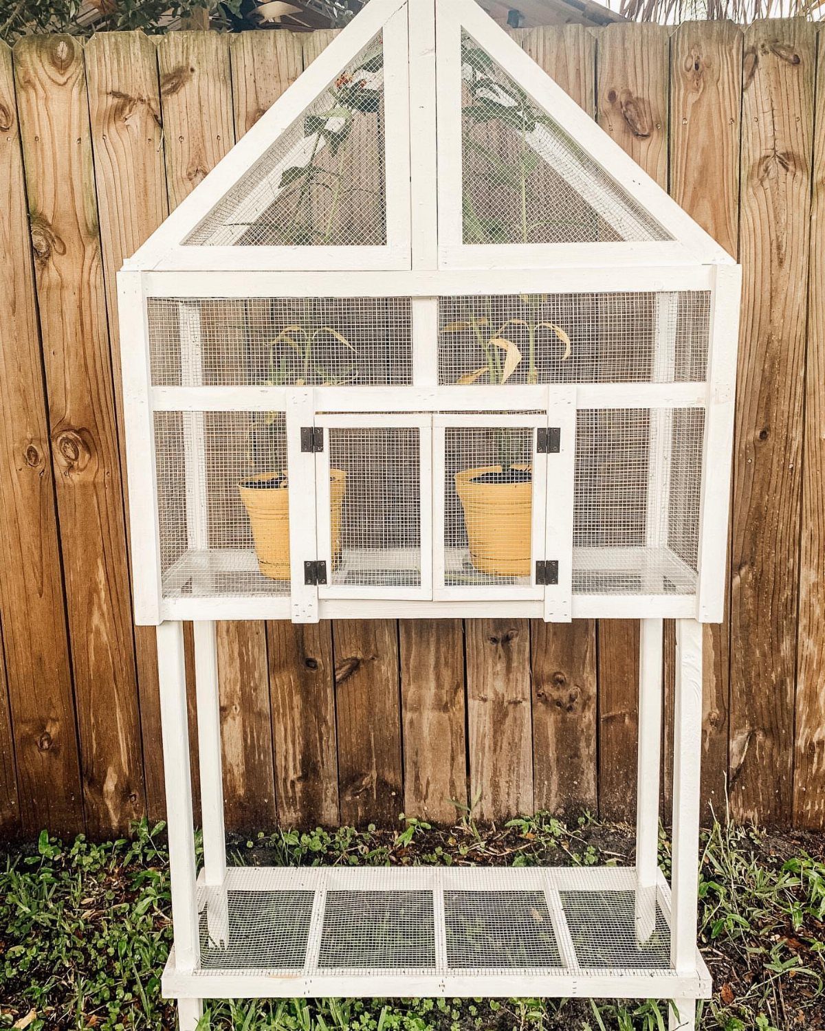 White wooden butterfly house with wire mesh and plants against a wooden fence.