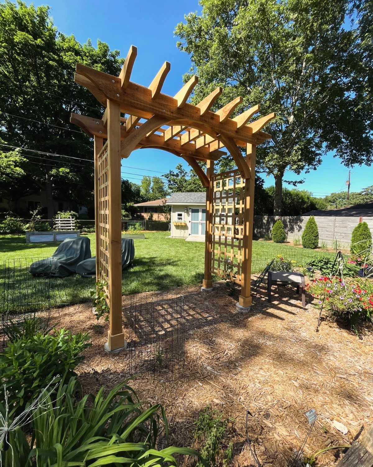 Wooden garden arbor with curved top and lattice sides in a sunny backyard.