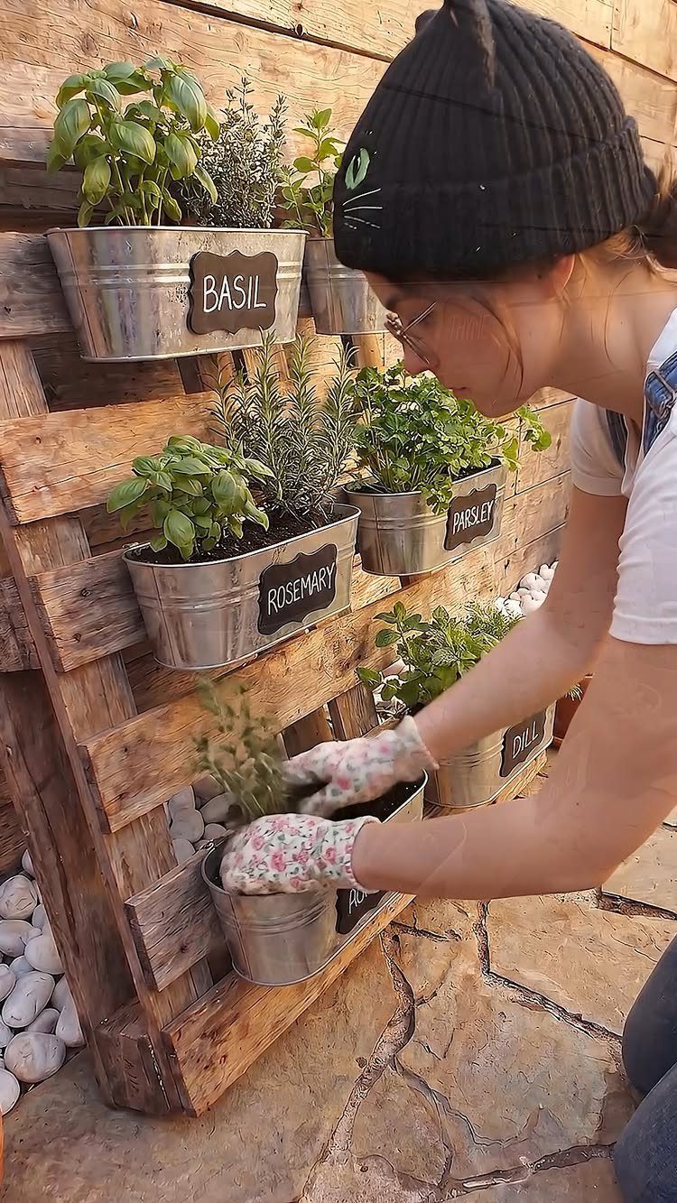 Person gardening in a vertical herb planter made from a wooden pallet and metal buckets.
