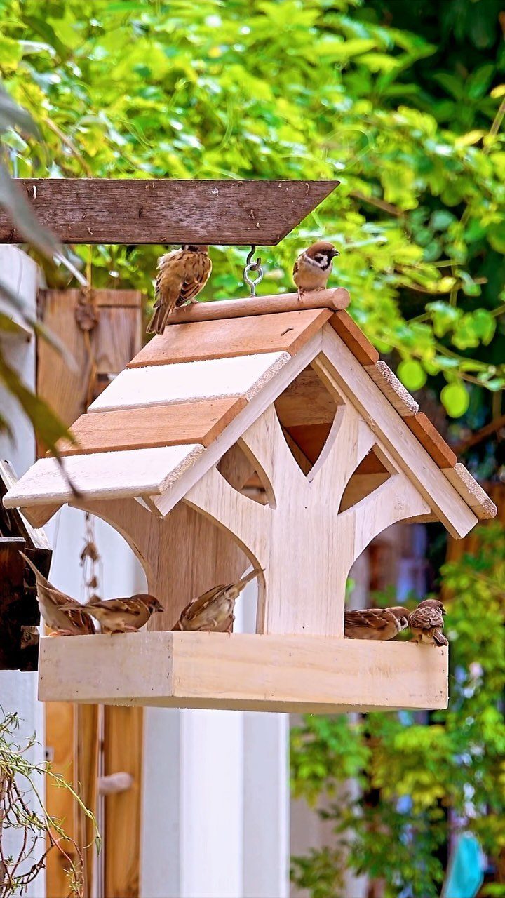 32 Mini Wood Projects for Beginners and Scrap Wood 17 Wooden birdhouse with a tree design and several small sparrows perched on it.