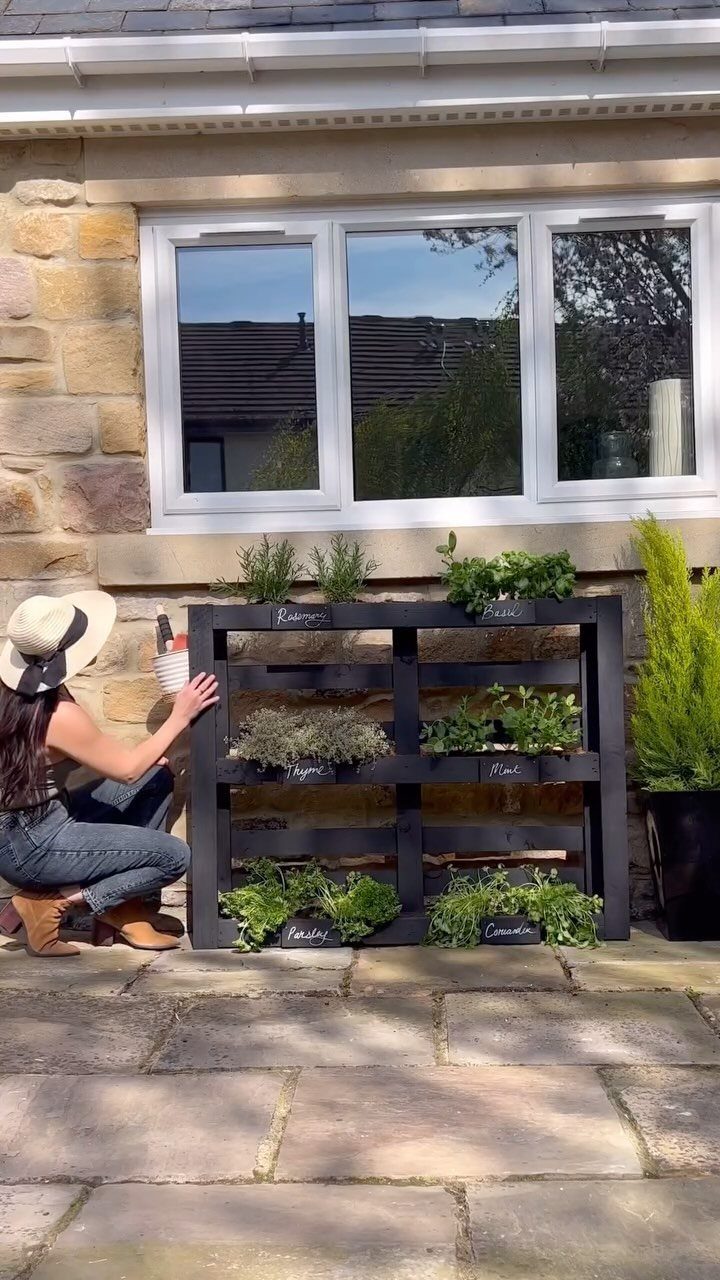 Black painted pallet garden shelves holding various potted herbs against a stone wall.