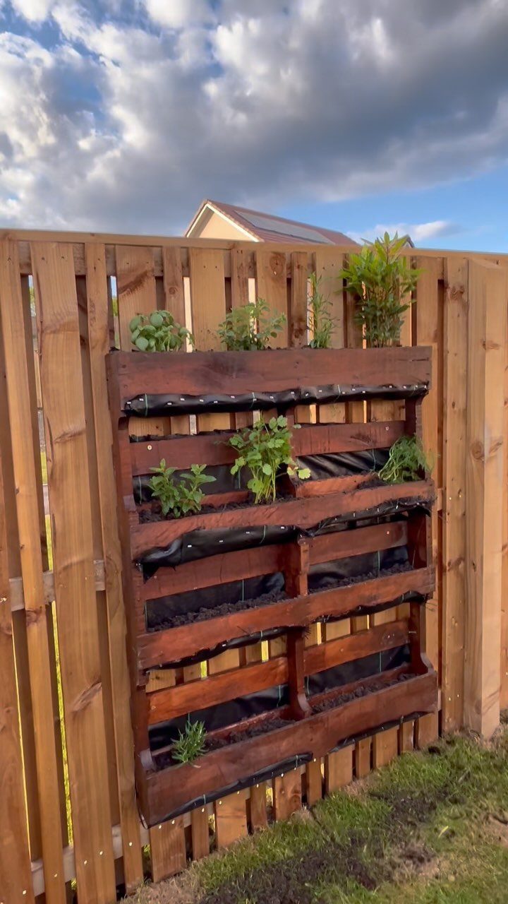 21 Pallet Wood DIY Projects for Home, Holidays and Yard 7 Vertical herb garden made from a dark stained wooden pallet against a fence.
