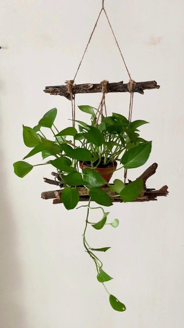Rustic Plant Stand Ideas: 5 Styles for Any Room 5 Hanging plant stand made of rustic wooden branches and twine with green foliage.