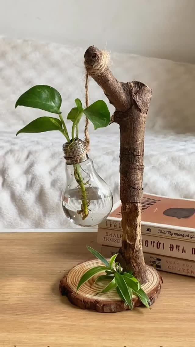 Rustic wooden plant holder with a lightbulb glass vase and green foliage.