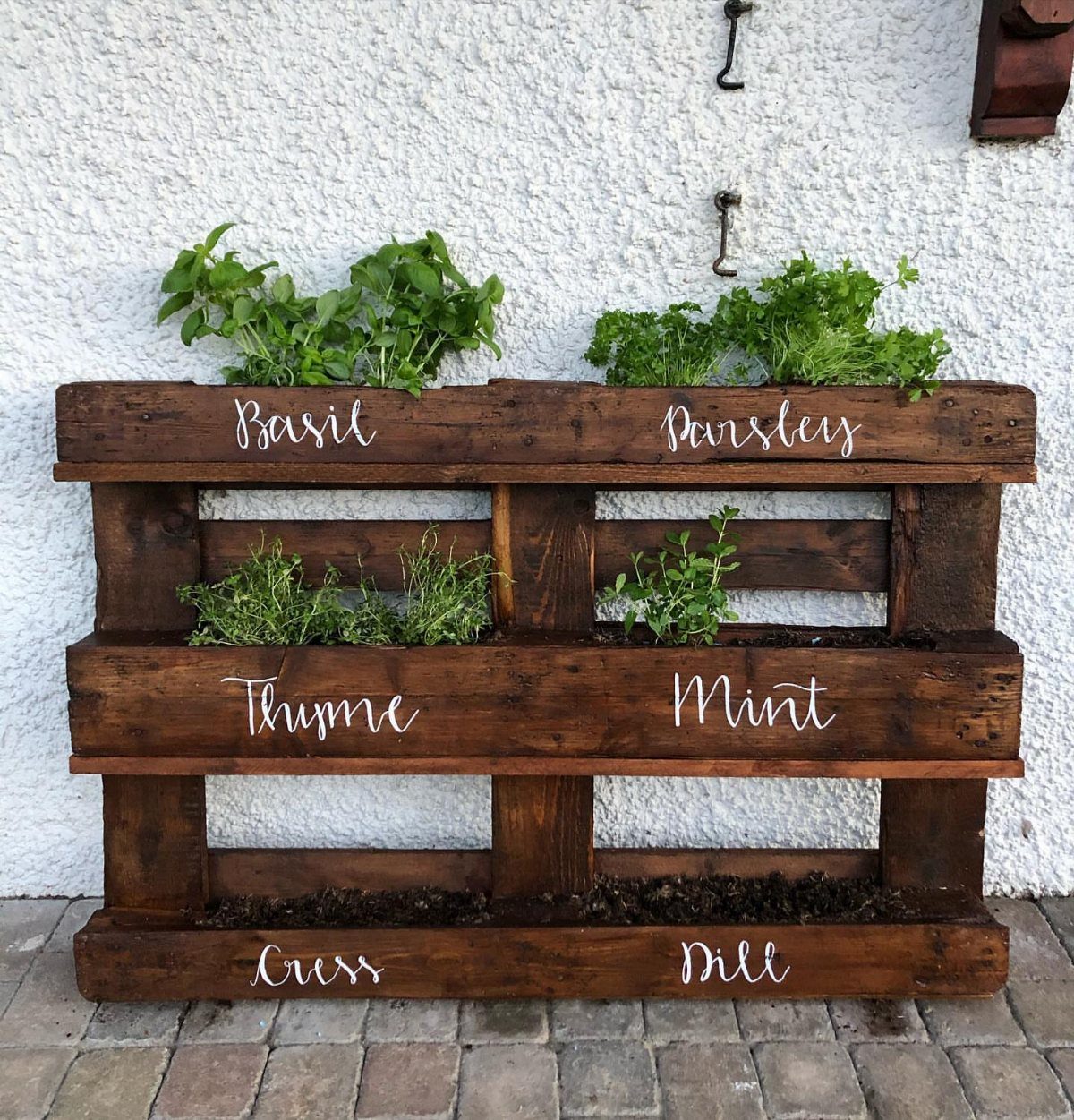 24 Summer Wood Projects for Beginners and Weekend Builders 7 Tiered dark brown wooden planter box with labeled green herbs against a white wall.