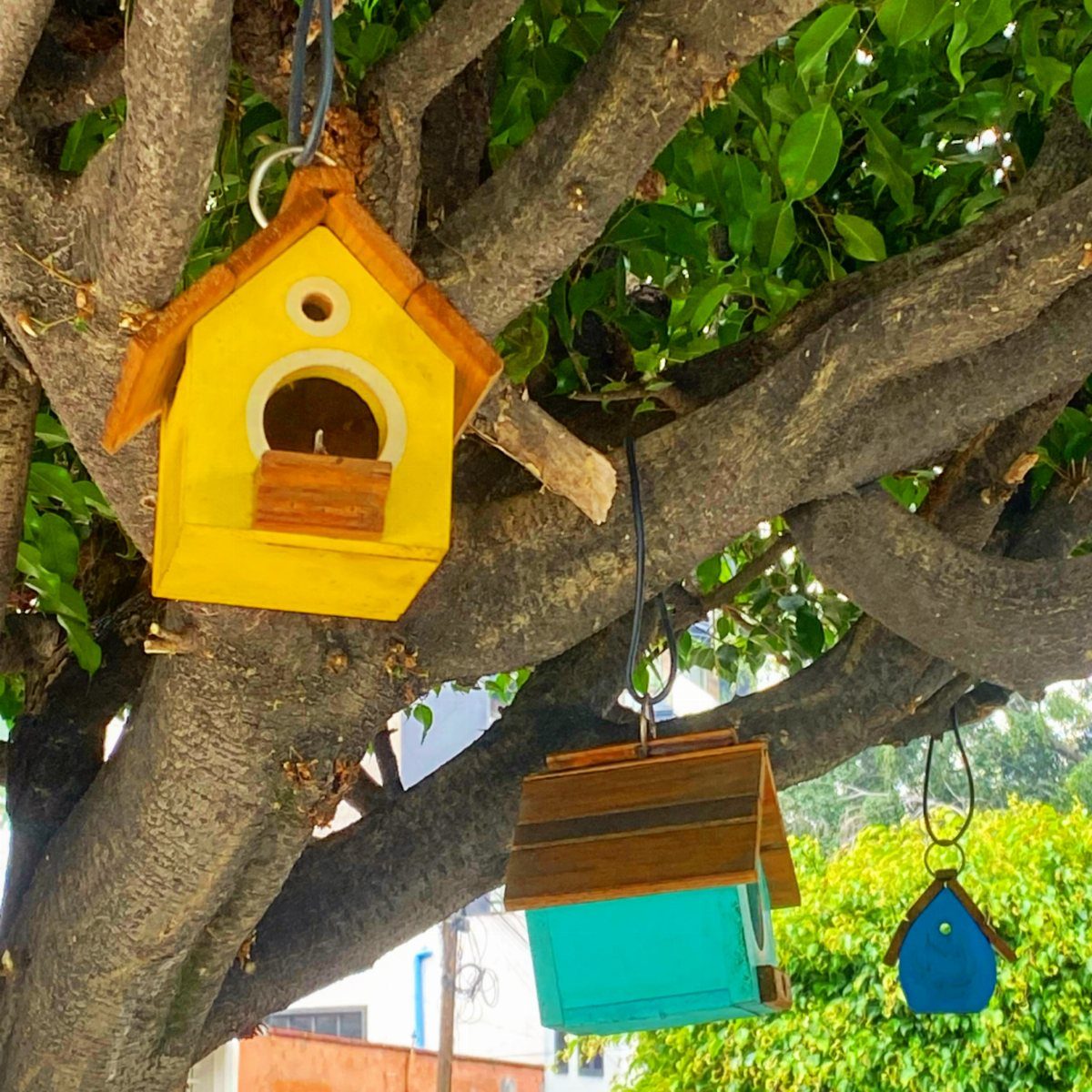 24 Summer Wood Projects for Beginners and Weekend Builders 9 Three colorful wooden birdhouses hanging from the branches of a green leafy tree.