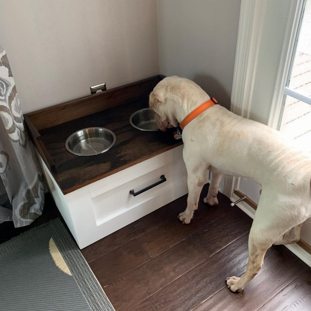 White dog standing by a wooden elevated feeding station with two metal bowls.