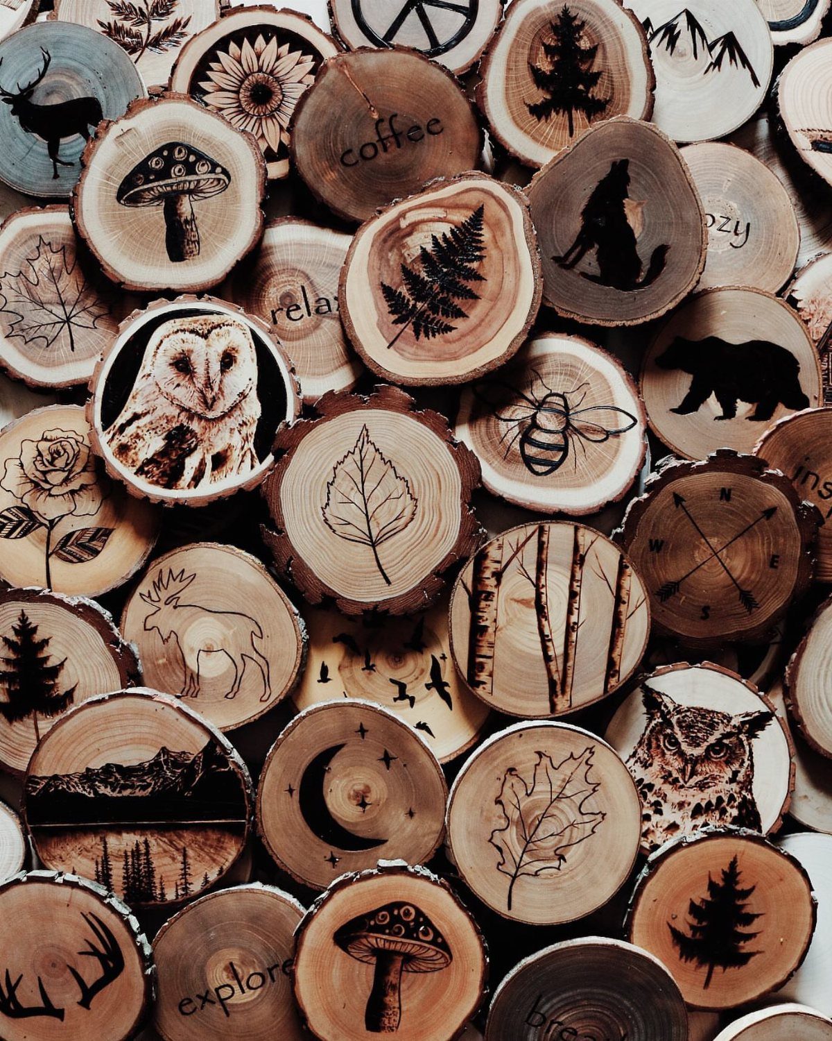 Wood Burning Art: 8 Ideas for Spoons, Coasters and More 4 Wood-burned coasters featuring nature designs and words on round wooden slices.