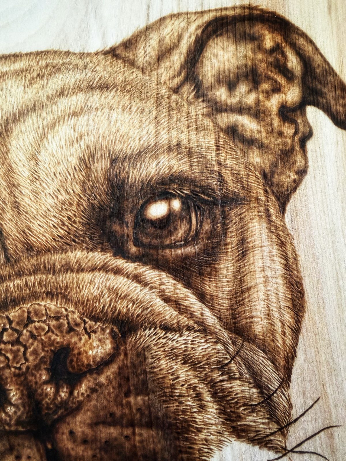 Wood Burning Art: 8 Ideas for Spoons, Coasters and More 1 Detailed wood-burned portrait of a bulldog face on light-colored wood grain surface.