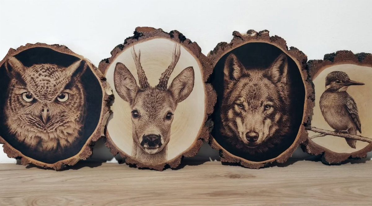 Wood Burning Carving Ideas: 7 Designs for Pyrography 3 Four wood-burned animal portraits on natural wood slices featuring an owl, deer, wolf, and woodpecker.