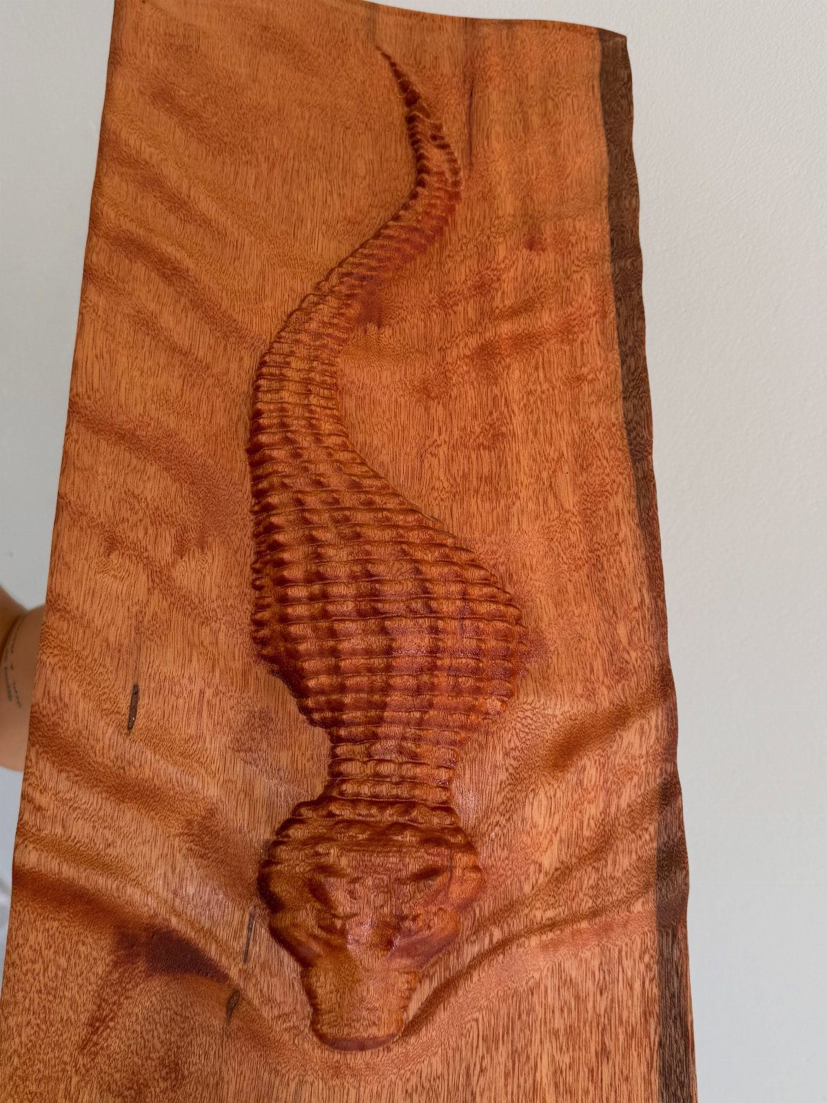 Wood Carving Animals: 14 Ideas to Try With a Knife 14 Wood carving of a seahorse embossed into a reddish-brown grained wooden plank.