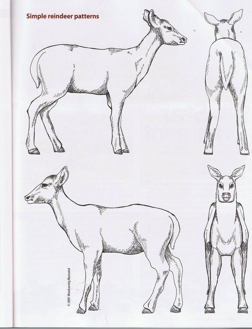 Deer carving patterns showing side, front, and rear views in black line art.