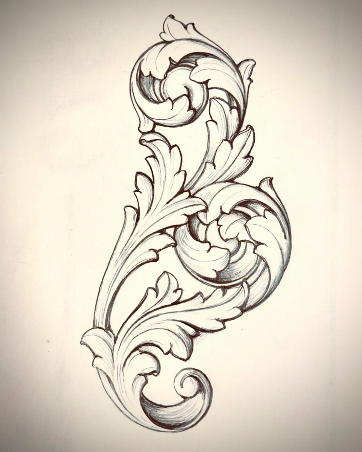 Ornate acanthus leaf scroll drawing for use as a wood carving pattern.