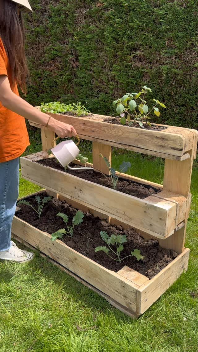 17 Wood Pallet Projects for Furniture, Decor, and Garden 5 Three-tiered pallet wood planter box with green plants being watered on a lawn.