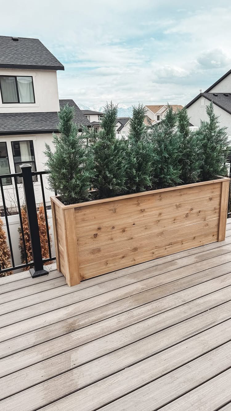 Wooden planter box with evergreen shrubs on a light grey wooden deck.