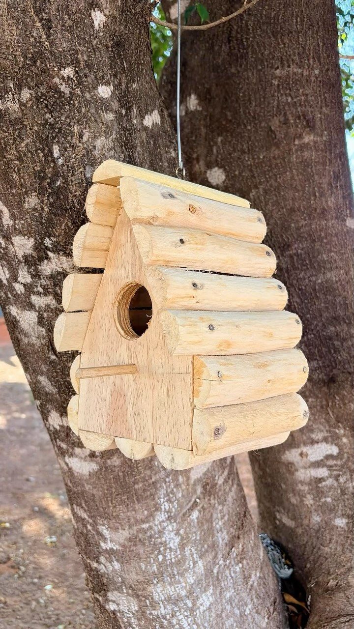 18 Wood Projects with Plans for Every Skill Level 3 Wooden log birdhouse hanging from a tree branch against a brown trunk.