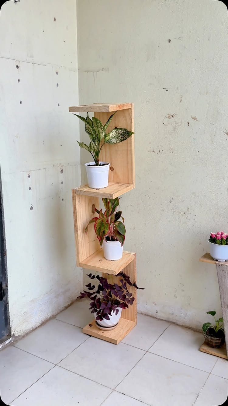 18 Wood Projects with Plans for Every Skill Level 17 Wooden staggered shelving unit holding three potted green plants against a white wall.