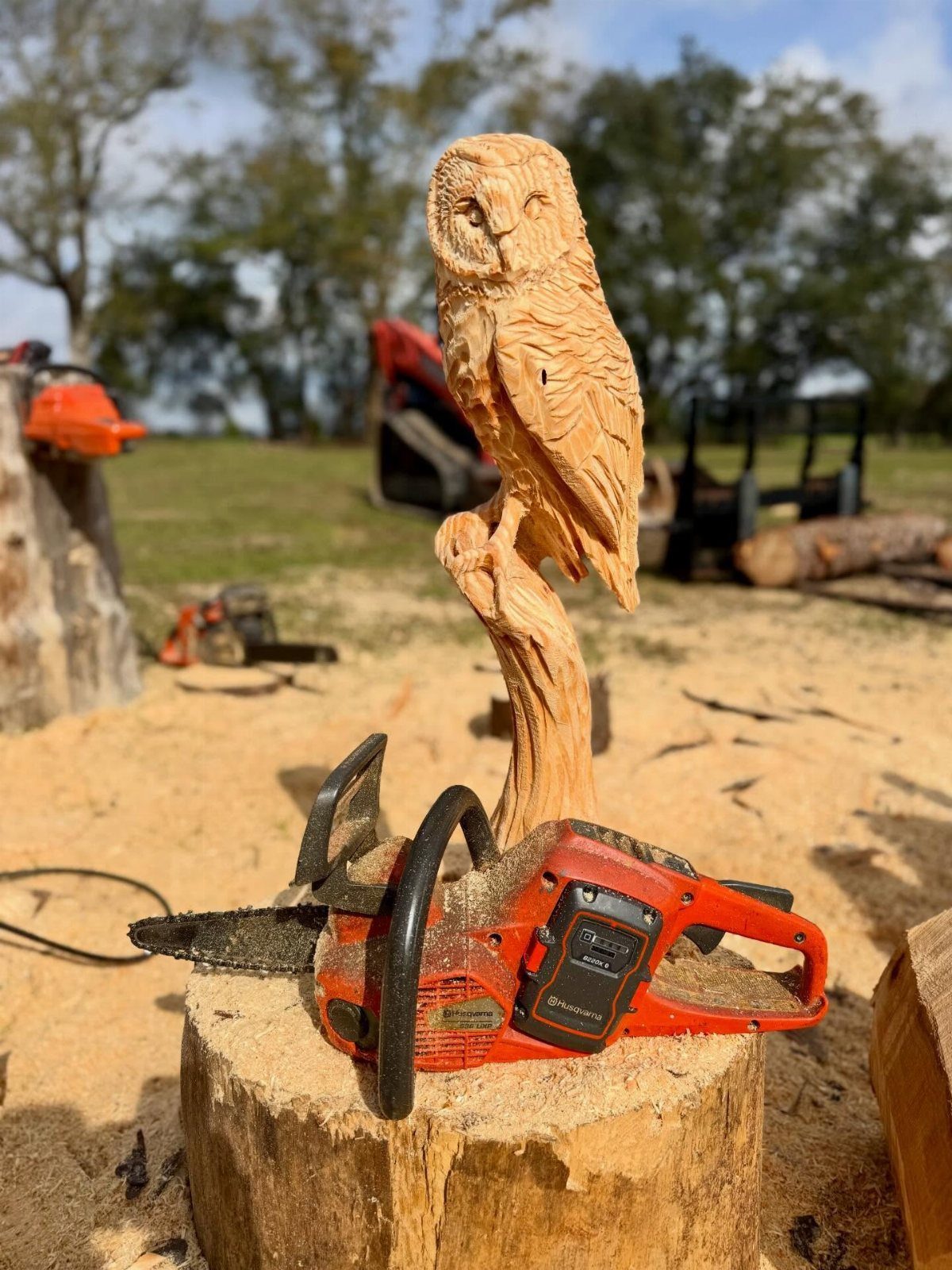 Wooden owl carving perched on a branch with an orange chainsaw in the foreground.