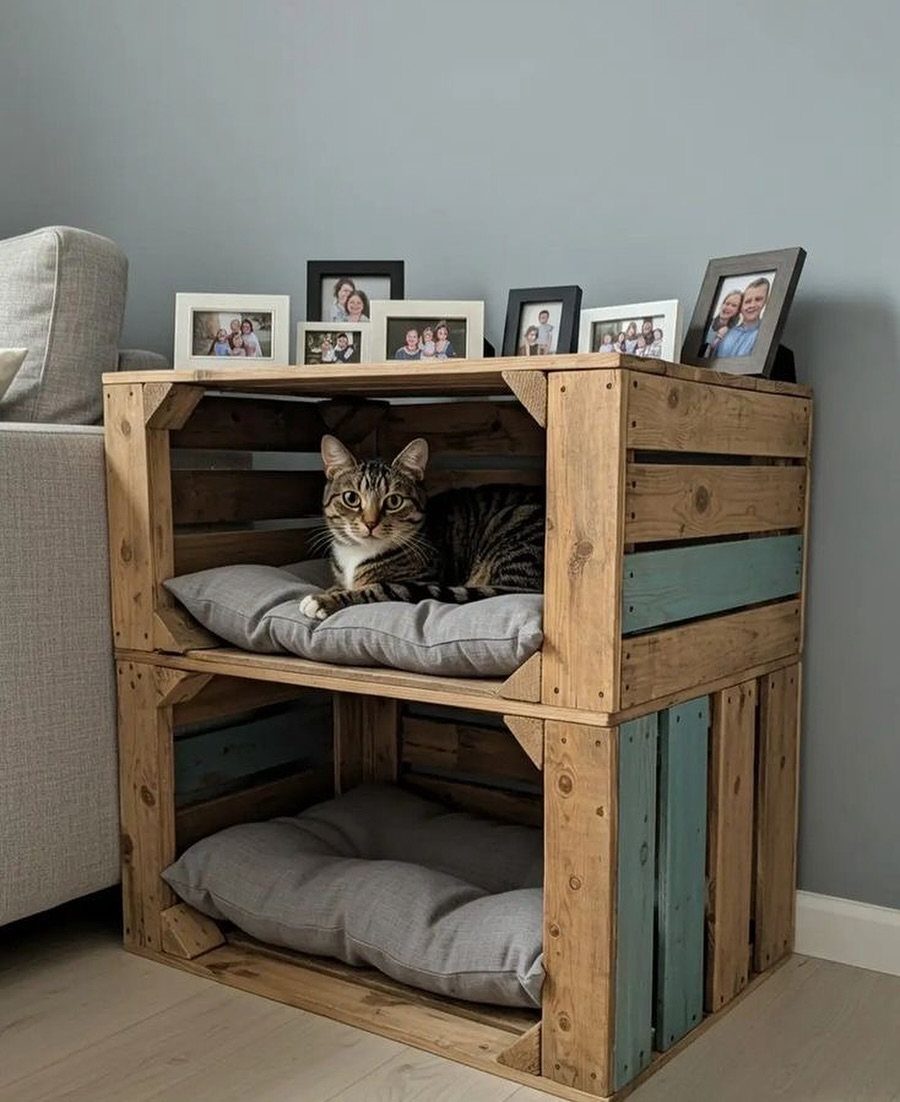 Tabby cat lounging in a DIY pet bed made from wooden pallet crates.